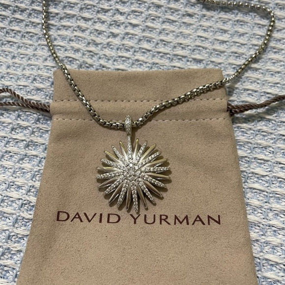 David Yurman Jewelry - David Yurman Silver Starburst Necklace